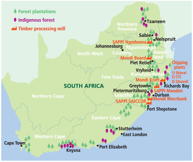 SA Forestry Map
